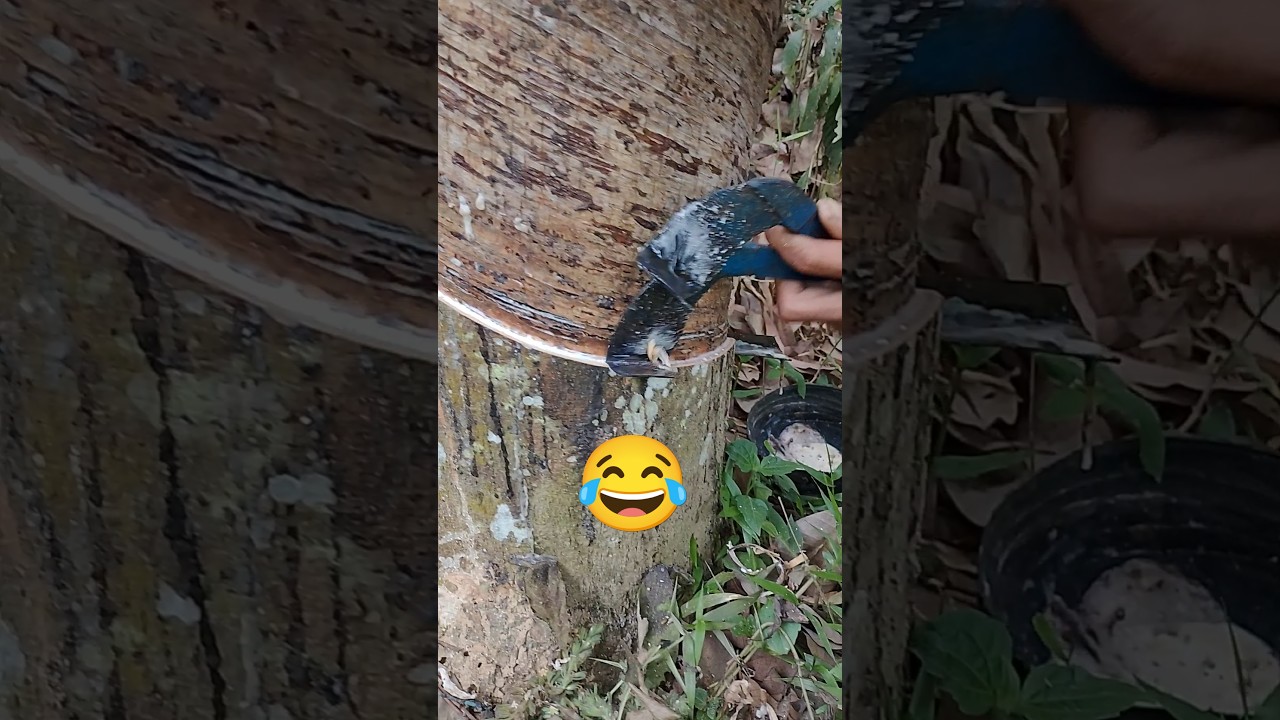 Double knife rubber cutting 😂