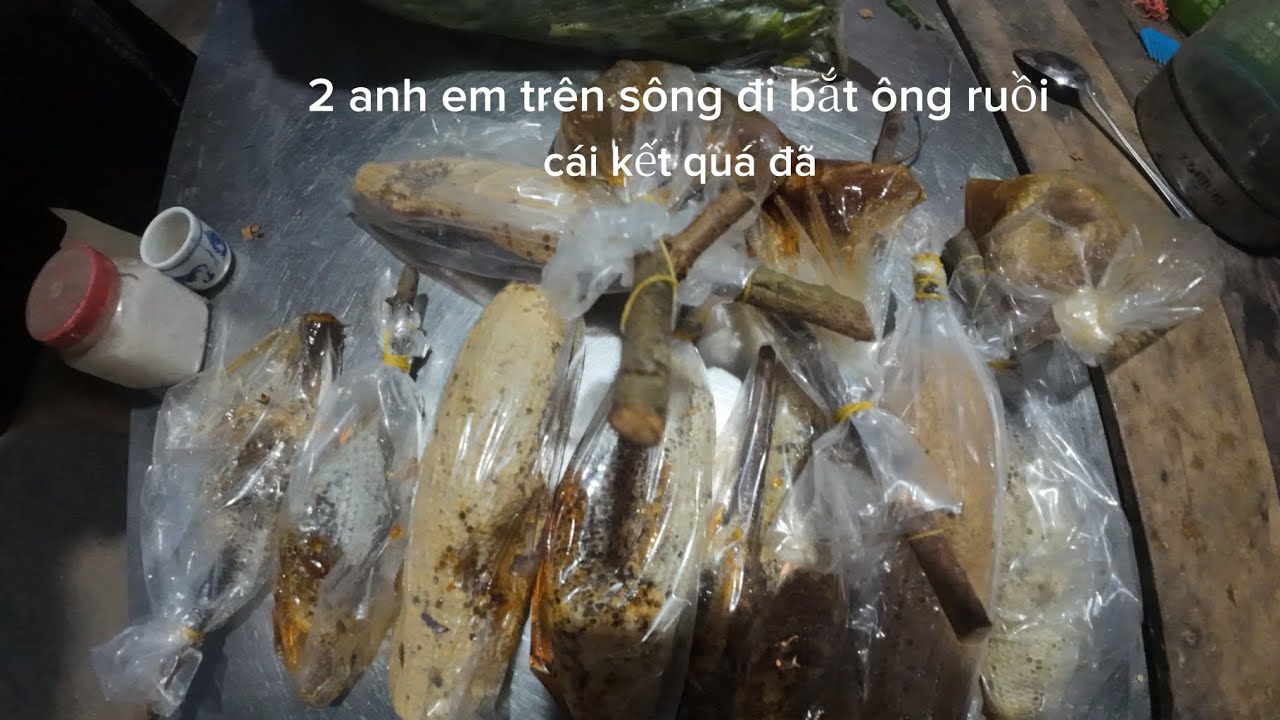 Hai anh em đi bắt ong ruồi trên sông và cái kết , vinh miền trung,