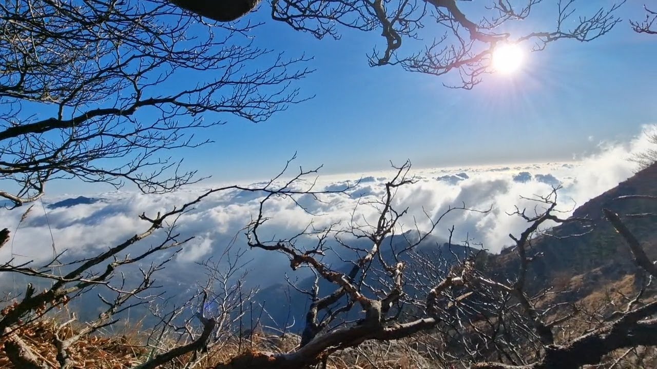 Trekking Monte Zatta: Anello dal Passo del Bocco nella Faggeta pi&ugrave; bella della Liguria