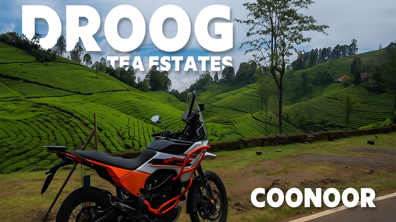 Riding along the Tea Estates in Coonoor | DROOG FORT.