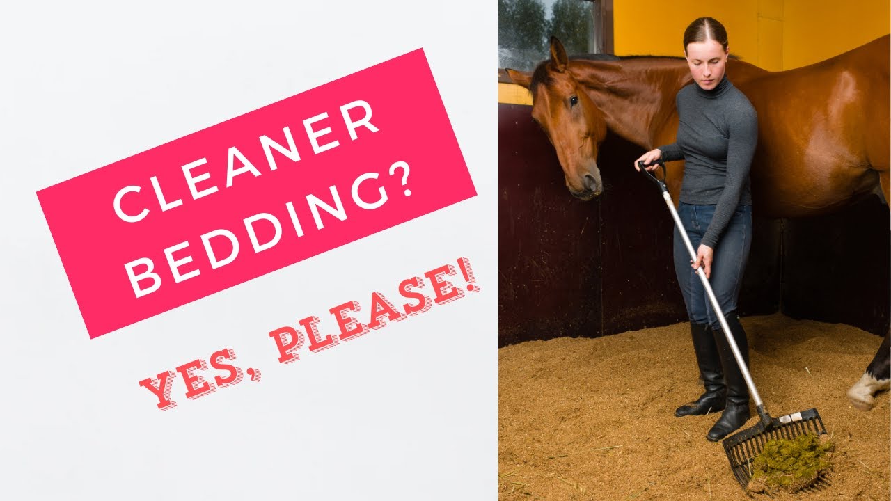 The Best Alternative to Traditional Stall Bedding for Horses & Livestock