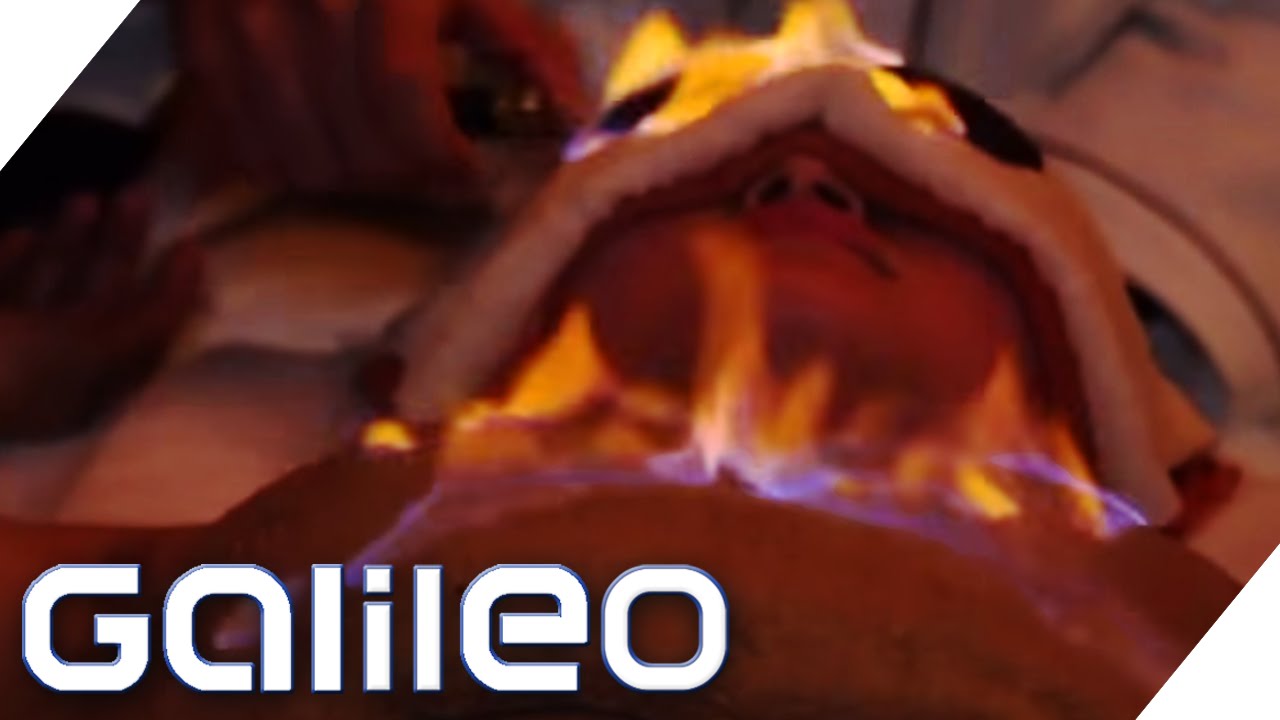 Behandlungsmethode aus China: Feuermassage | Galileo | ProSieben