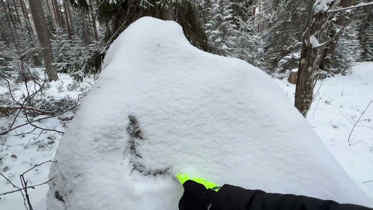 Walking in snowy forest in Sweden | Virtual winter walk | Drone  flights over the snowy forest