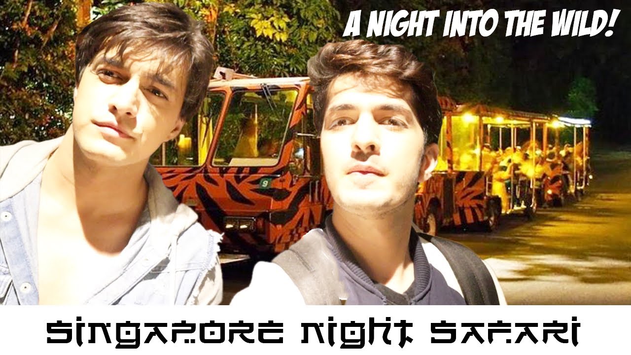 Carried A Python In Singapore Night Safari!