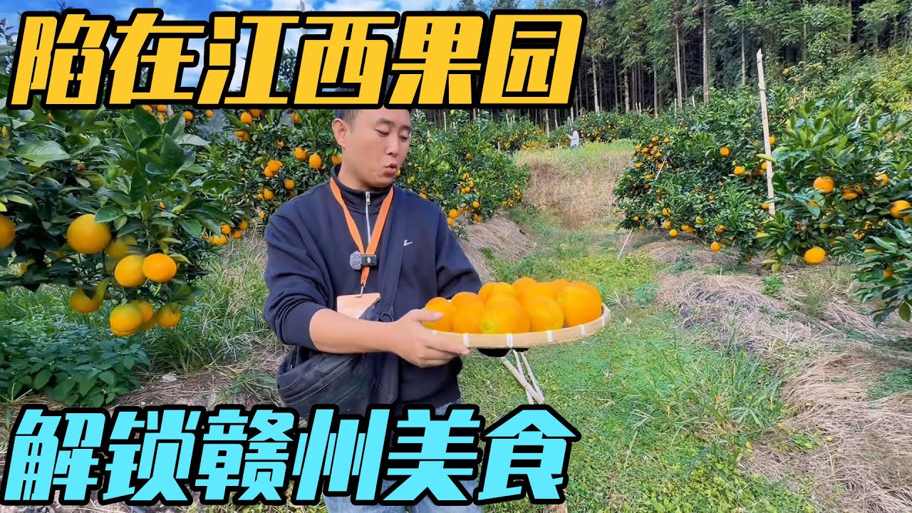 房车旅行陷在江西果园里，解锁赣州美食地图【家和远方的旅行】