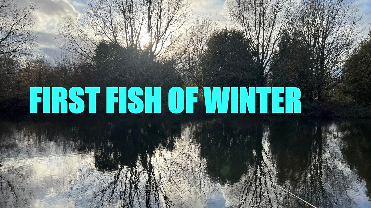 First Fish of Winter ~ Bomb, Feeder, and Waggler Fishing