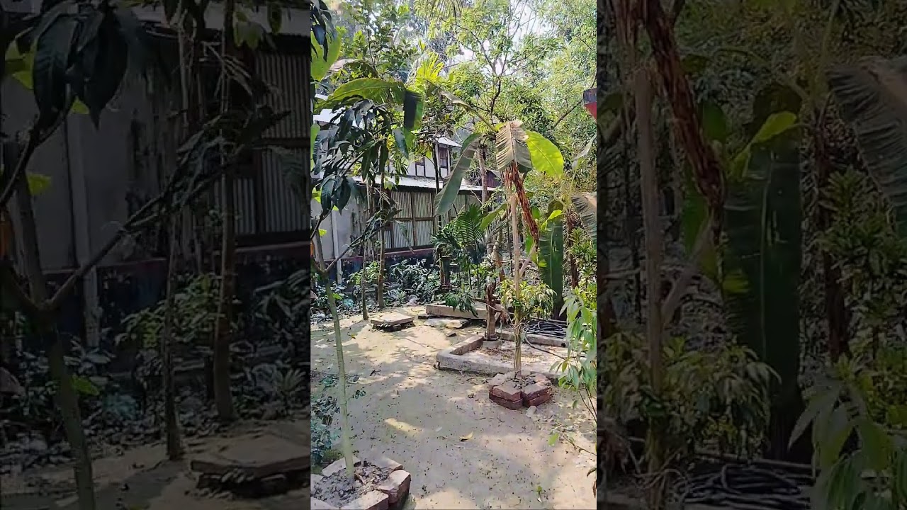 আমার স্বামীর বাড়ির পুরা ভিডিও  