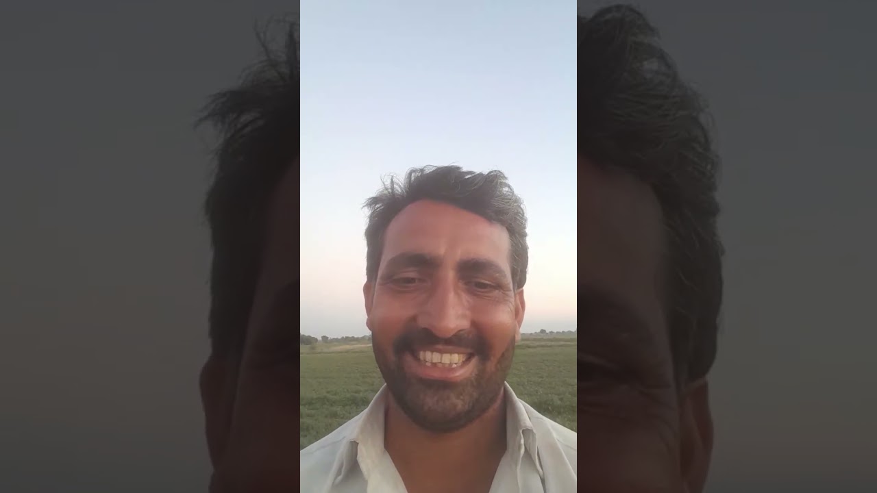 લાઇવ હાઇલાઇટ