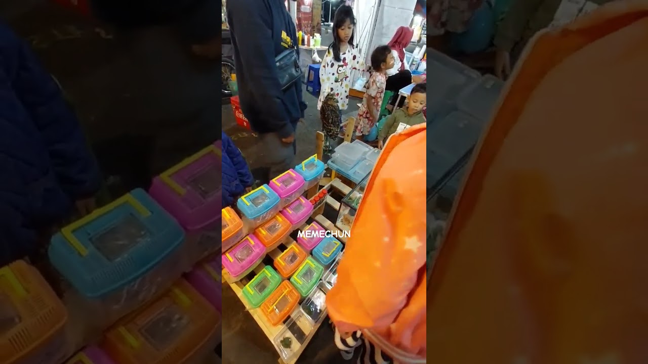 Sudah pernah punya 🤣 
