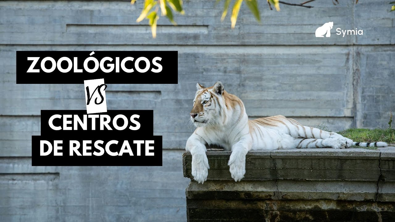 Zoológicos VS Centros de rescate: ¿sabes cuál es la diferencia?
