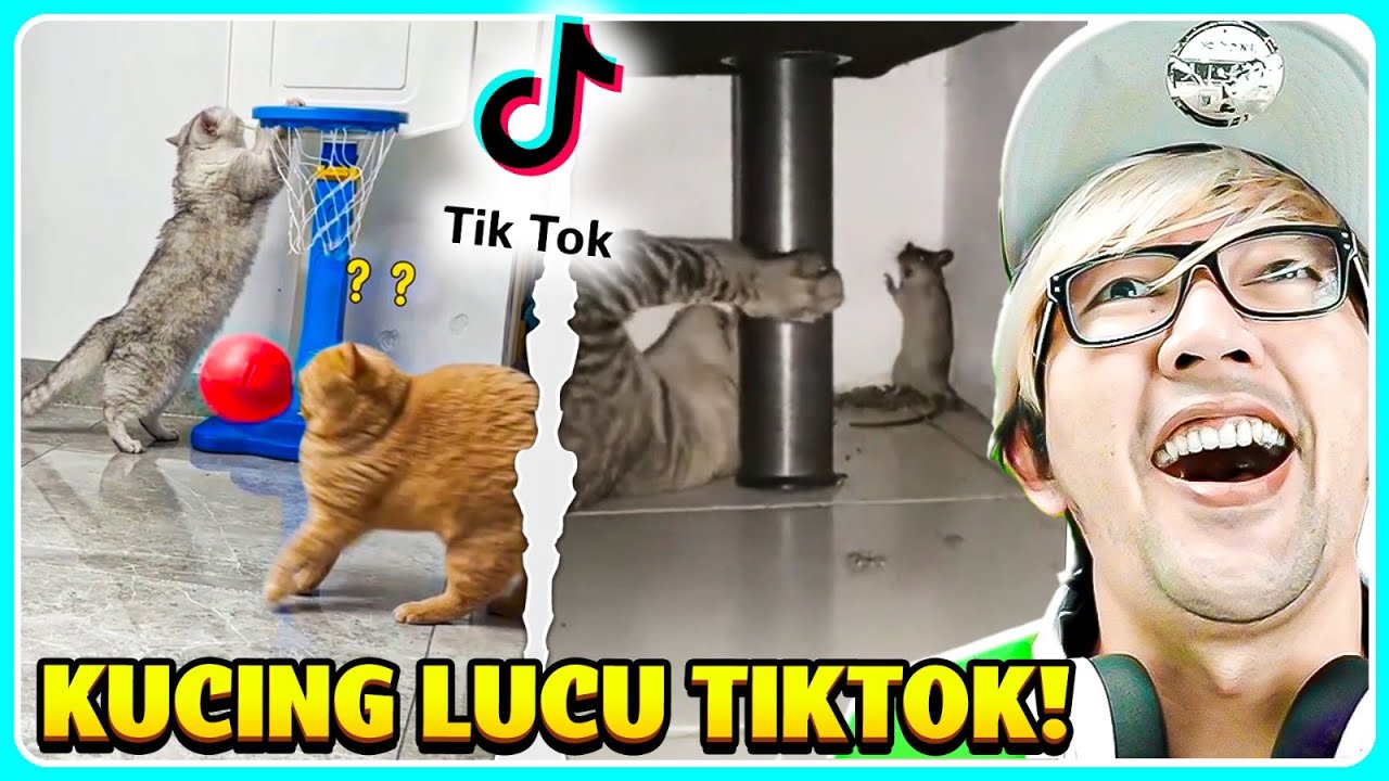 BANG CUPU REAKSI VIDEO LUCU TIKTOK!! KUCING OYENN PALING APESS SEDUNIA