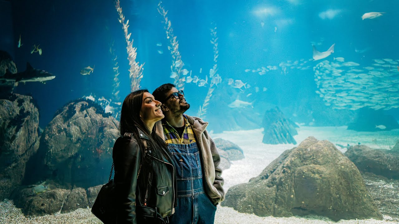 A Noite no Oceanário — by RoamXplorers