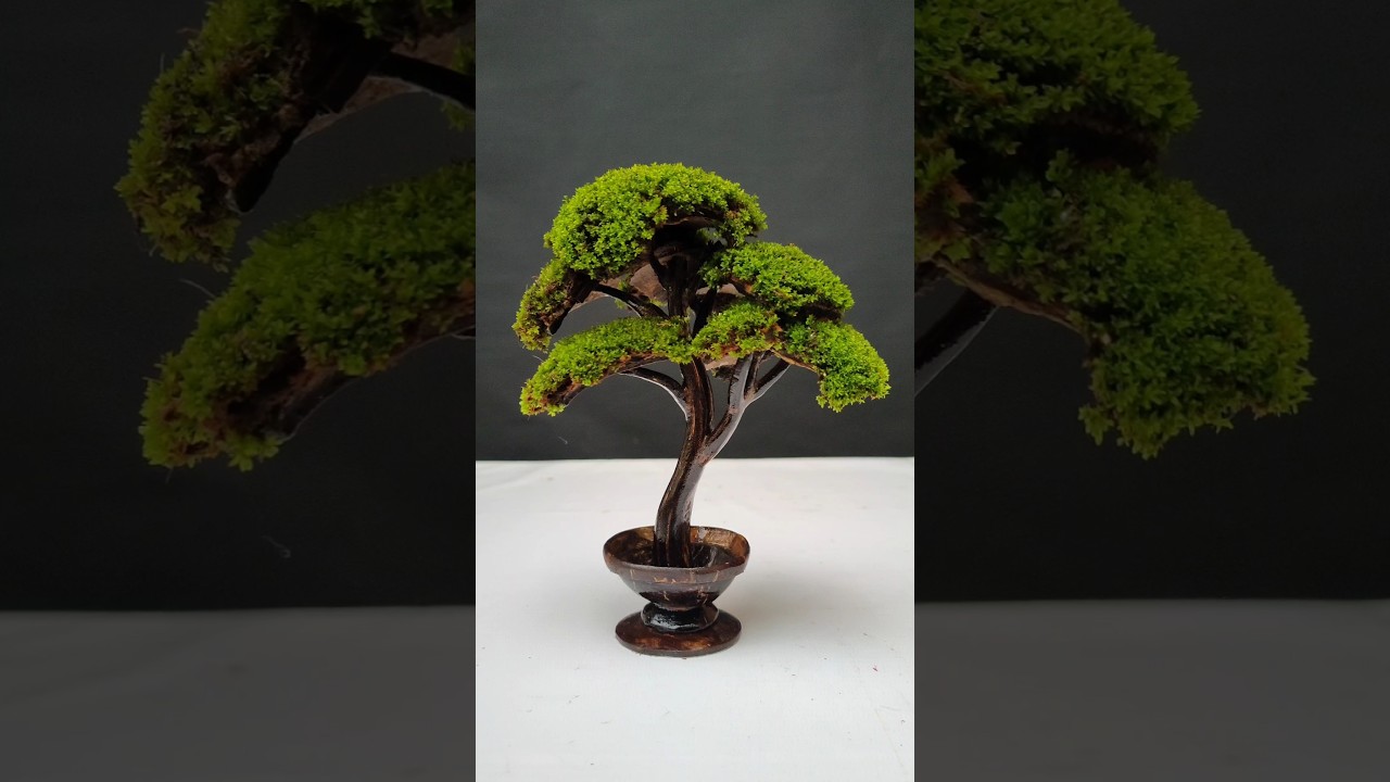 Coconut Shell Creativity | Unique Craft Ideas 🥥🥥🥥 #shorts #diy #coconutshellcraft #ideas