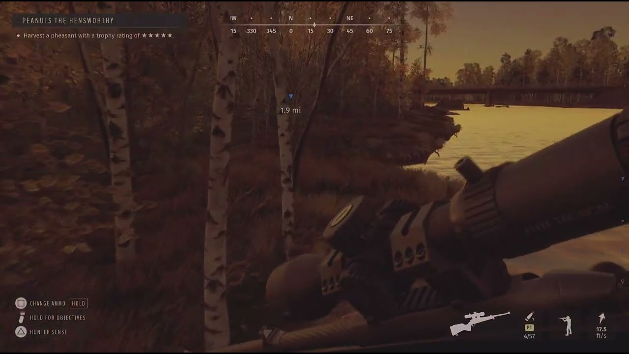 Way of the Hunter 5 Star Roe Deer 😅😍💖 Lintakota