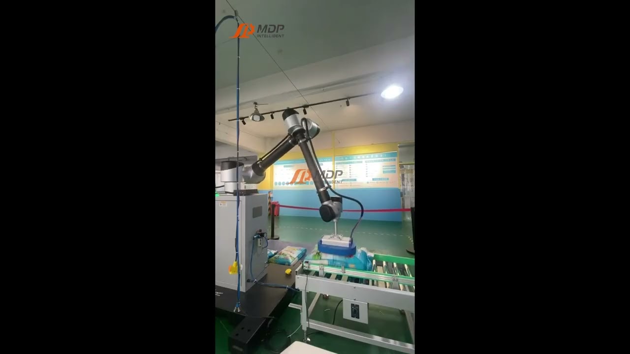 20KG Rice Interlocking Robot Palletizer &ndash; MD-WP20E