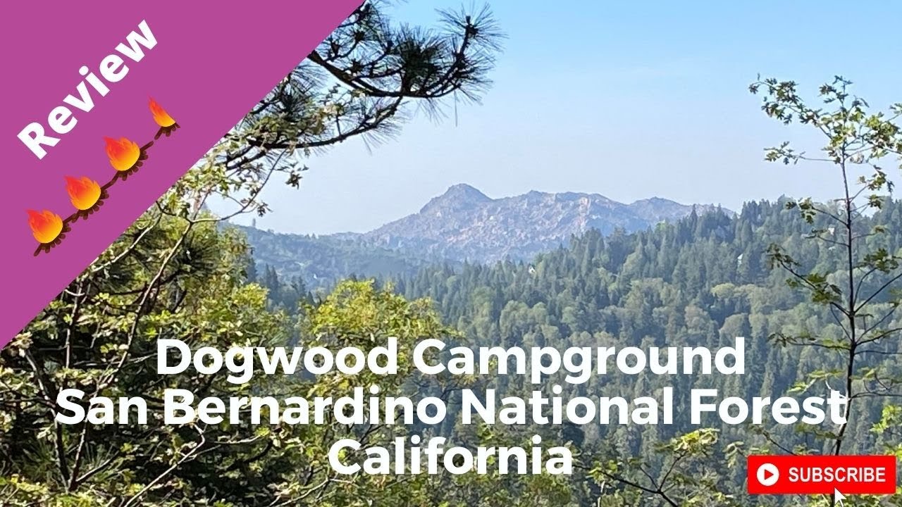 Campground Review: Dogwood Campground, San Bernardino National Forest, California