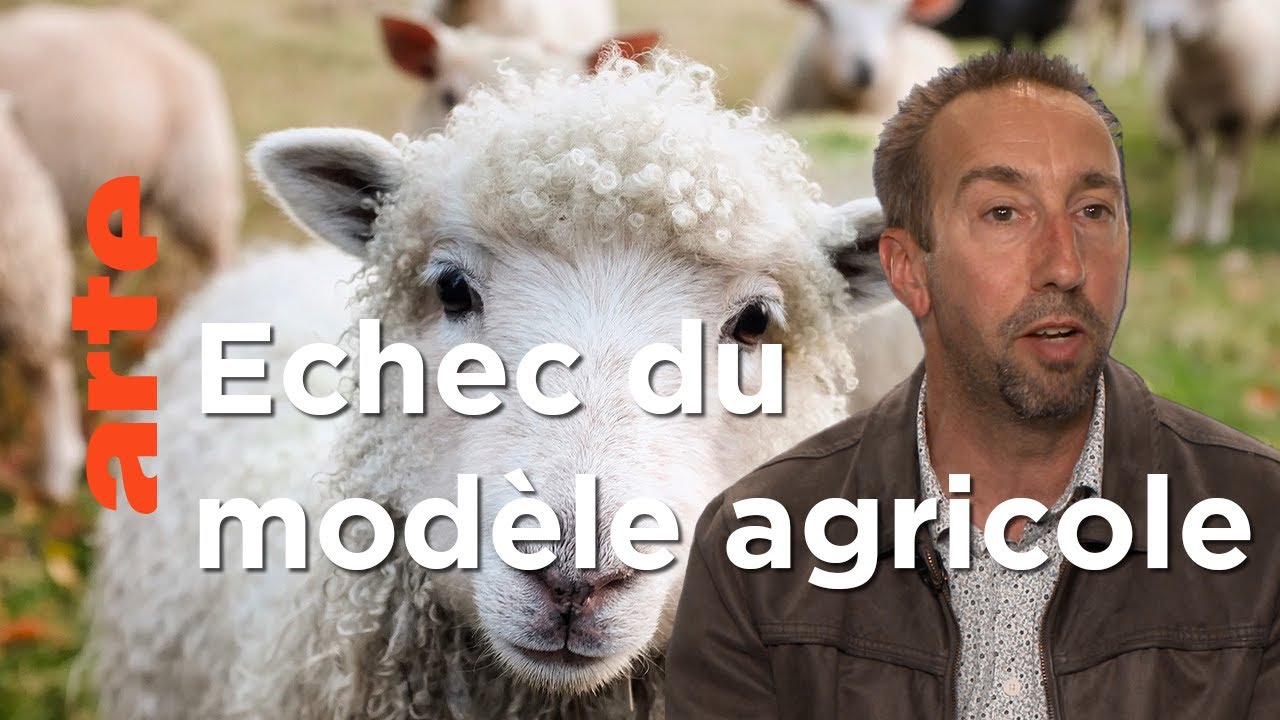 Témoignage d'un éleveur | Sacrifice Paysan | ARTE
