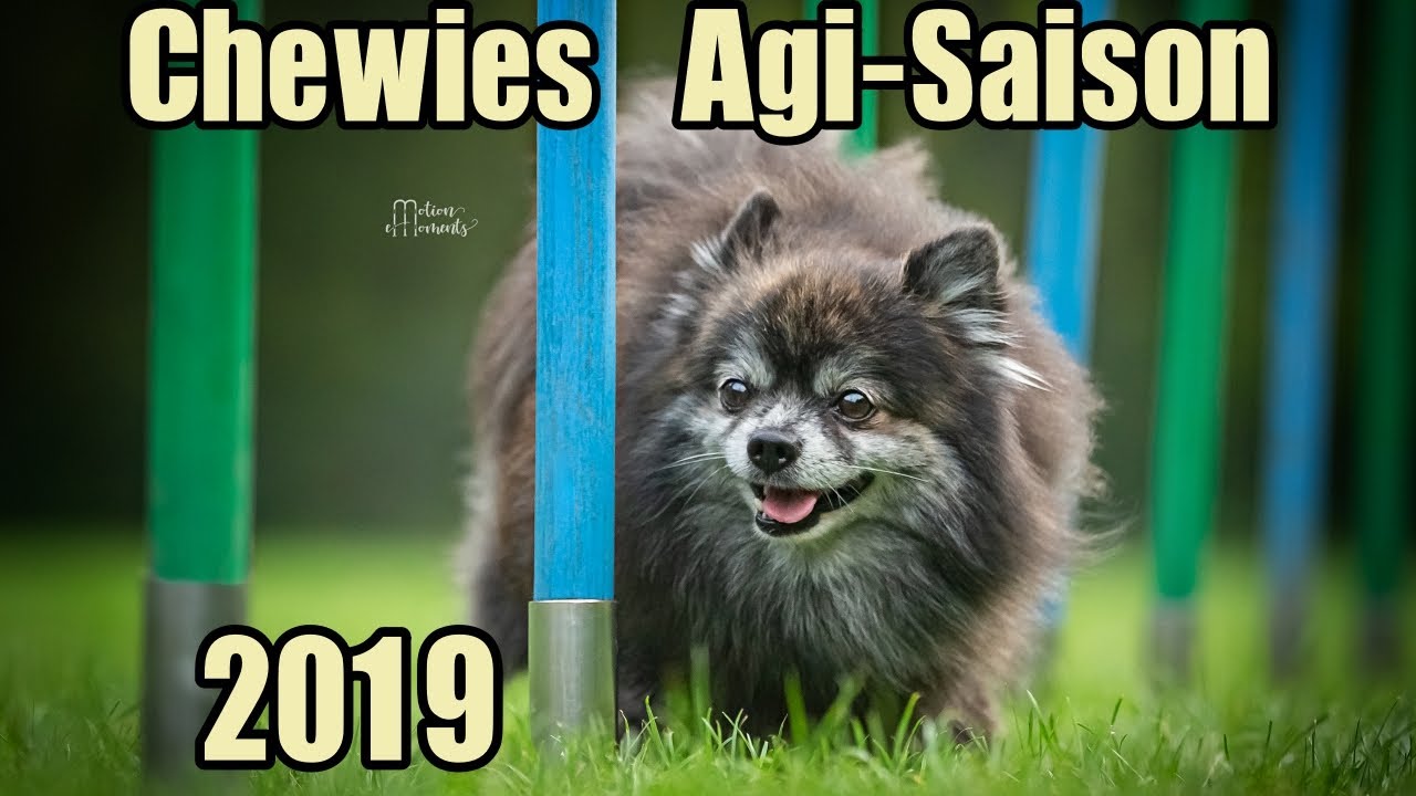 Chewie Agi-Saison 2019 | Jahresrückblick