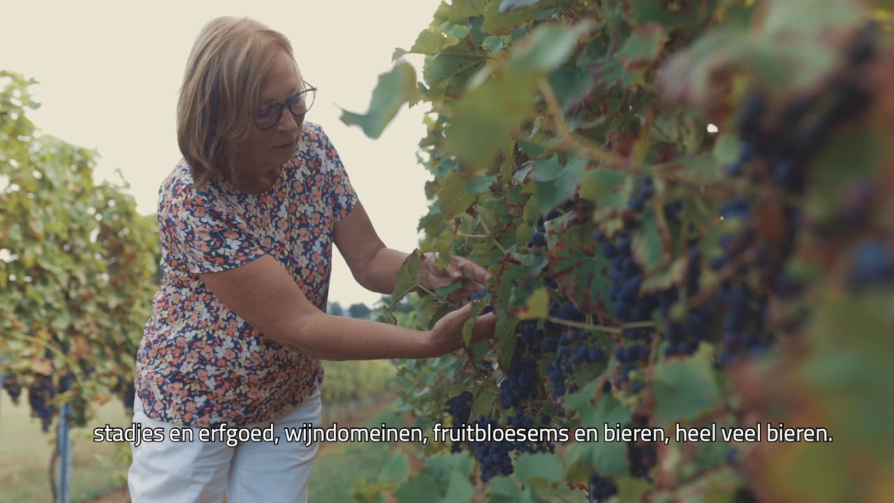 Provincie Vlaams Brabant Toerisme