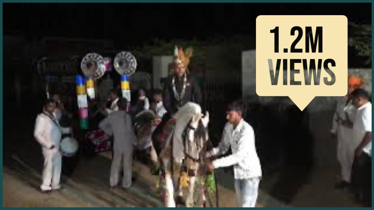 Horse dance at Indian wedding #horse #Dance #Wedding #RoyalWedding