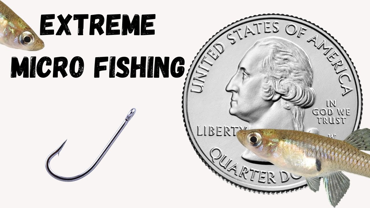 Extreme Micro Fishing (Catching a fish smaller than a quarter)