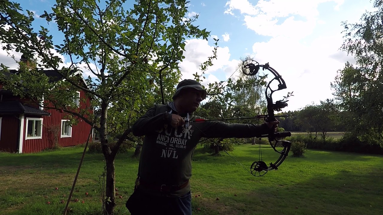PSE DNA sp
