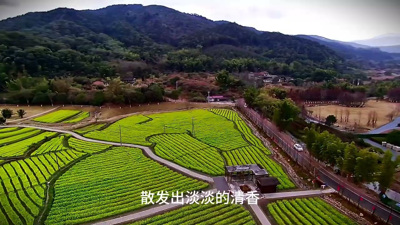 回到中國南方，春季烟雨濛濛，油菜花成為主角