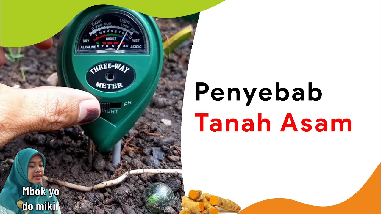 4 Penyebab dan Cara Mengatasi pH Tanah Asam