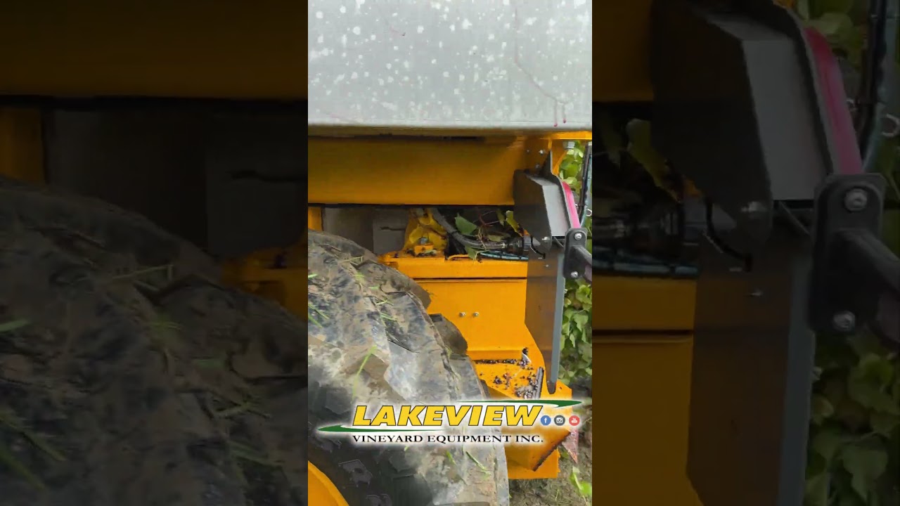 Gregoire Grape Harvester Picking Marquette Grapes #grapes #vineyards #grapeharvest #grapeharvester