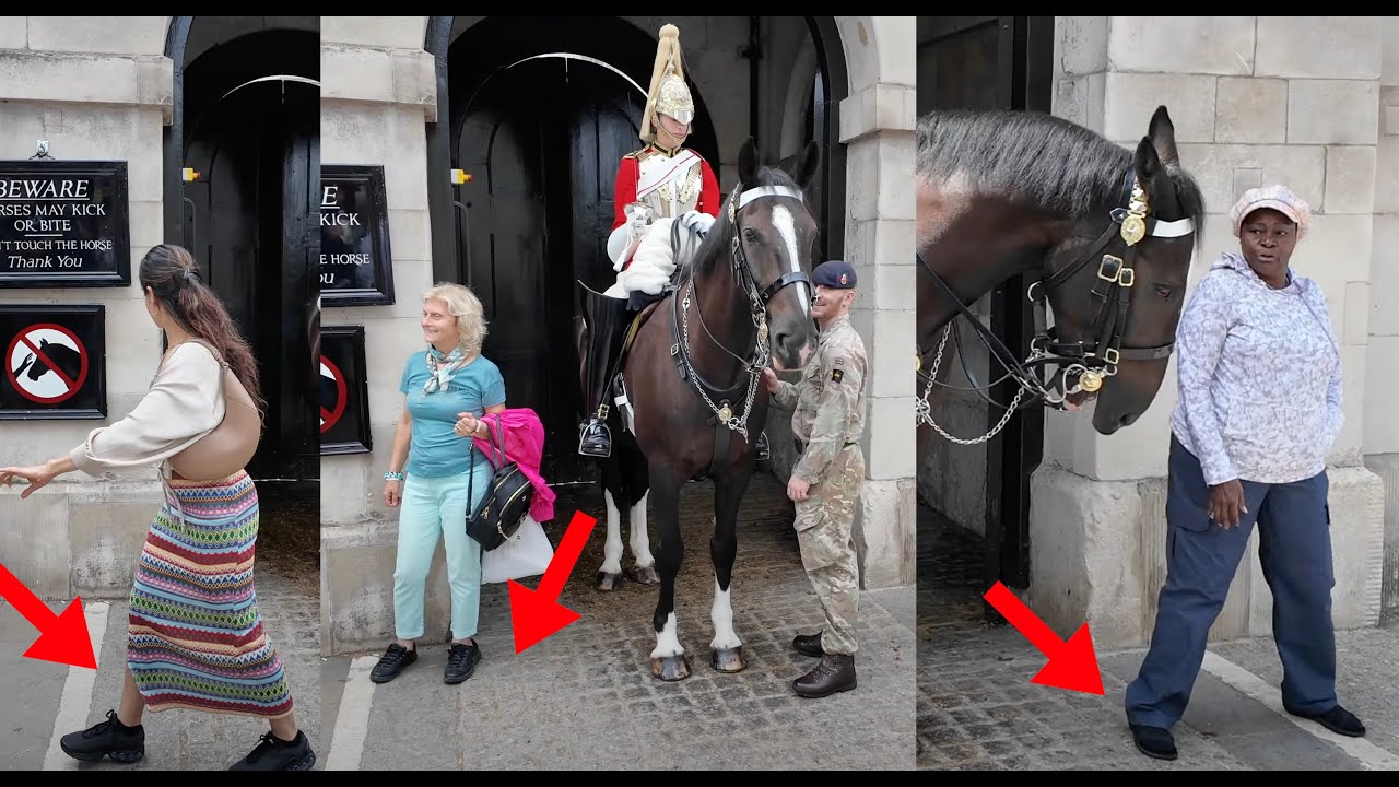 Horse Guards Compilation: Shouts, Royal Boots, Invaded Horse’s Spaces, Horse Spooked.