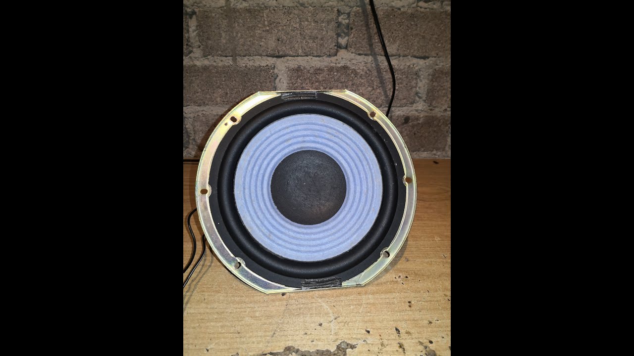 woofer sony de 8 pulg. tocando al aire libre