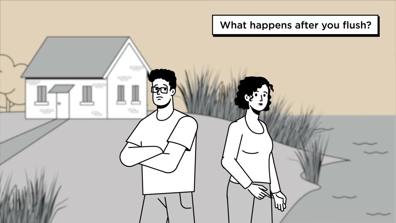 How a Septic System Works: Wastewater Journey Explained
