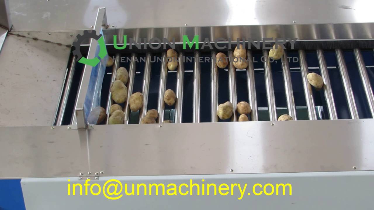 roller type  fruit and vegetable sorting machine