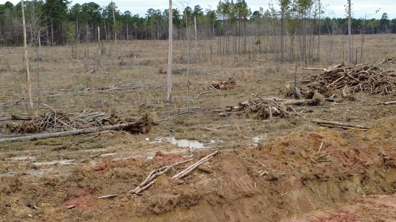 Clearing near Ricky's home.