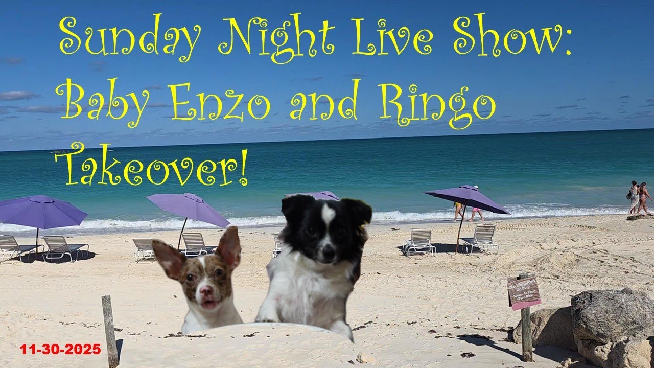 Enzo and Ringo Takeover of Sunday Night Live Show!
