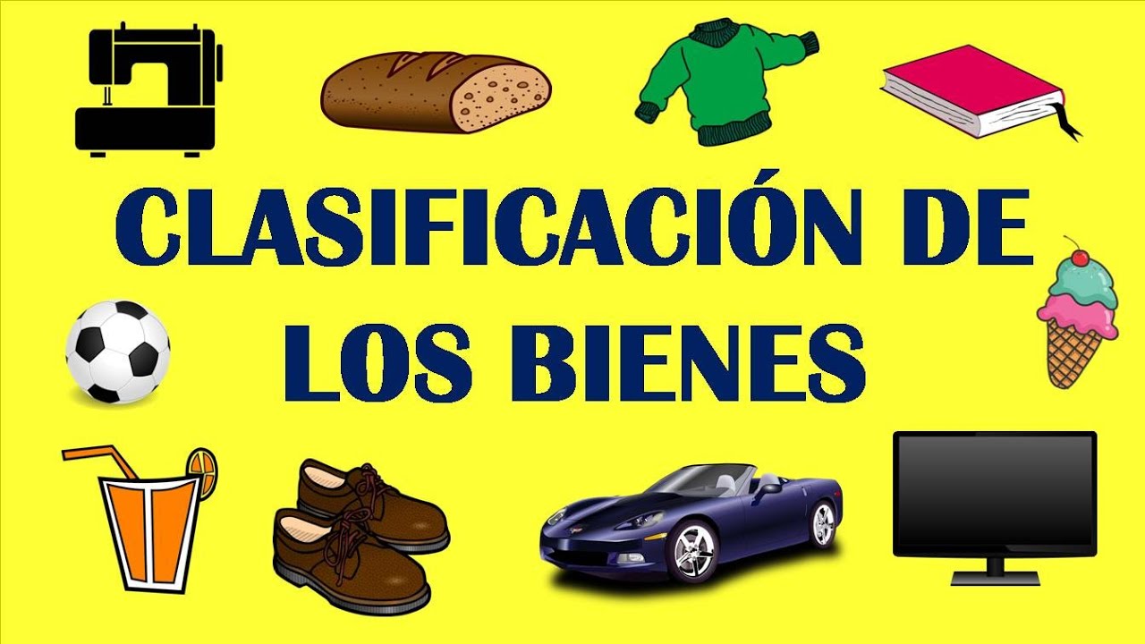 Clasificaci&oacute;n de los Bienes en Econom&iacute;a