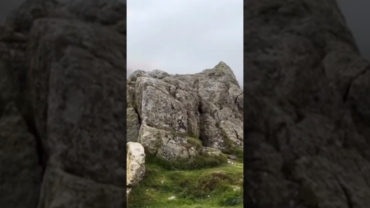 Steel Knotts Pikeawassa WAINWRIGHT
