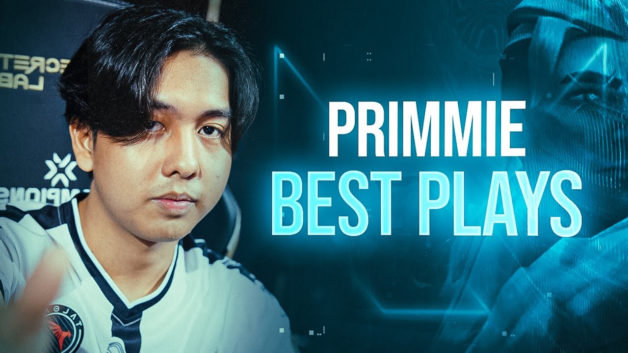 Лучшие рейтинговые пьесы Talon PRIMMIE Highlights