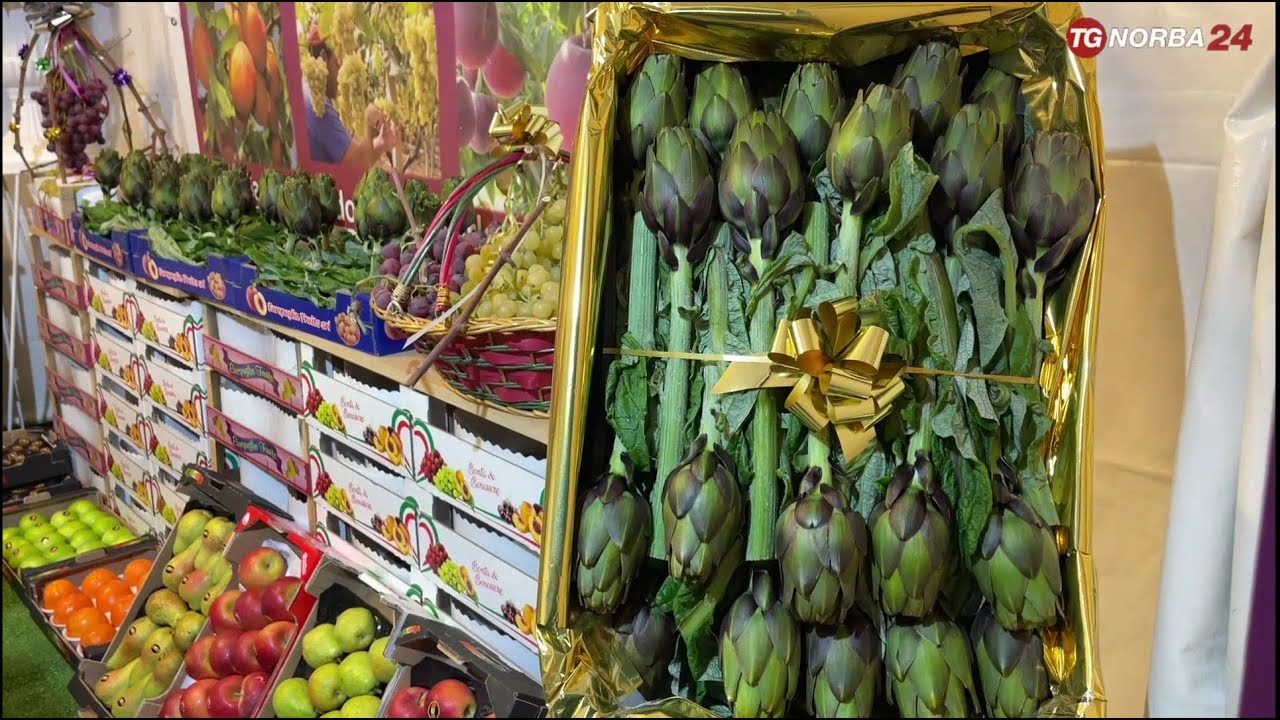 San Ferdinando di Puglia, verso il marchio igp del carciofo mediterraneo