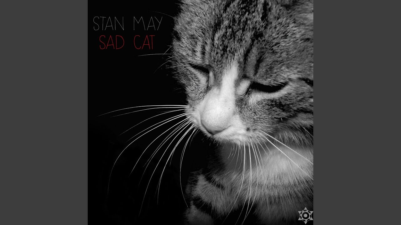 Sad Cat (Markus Volker Remix)