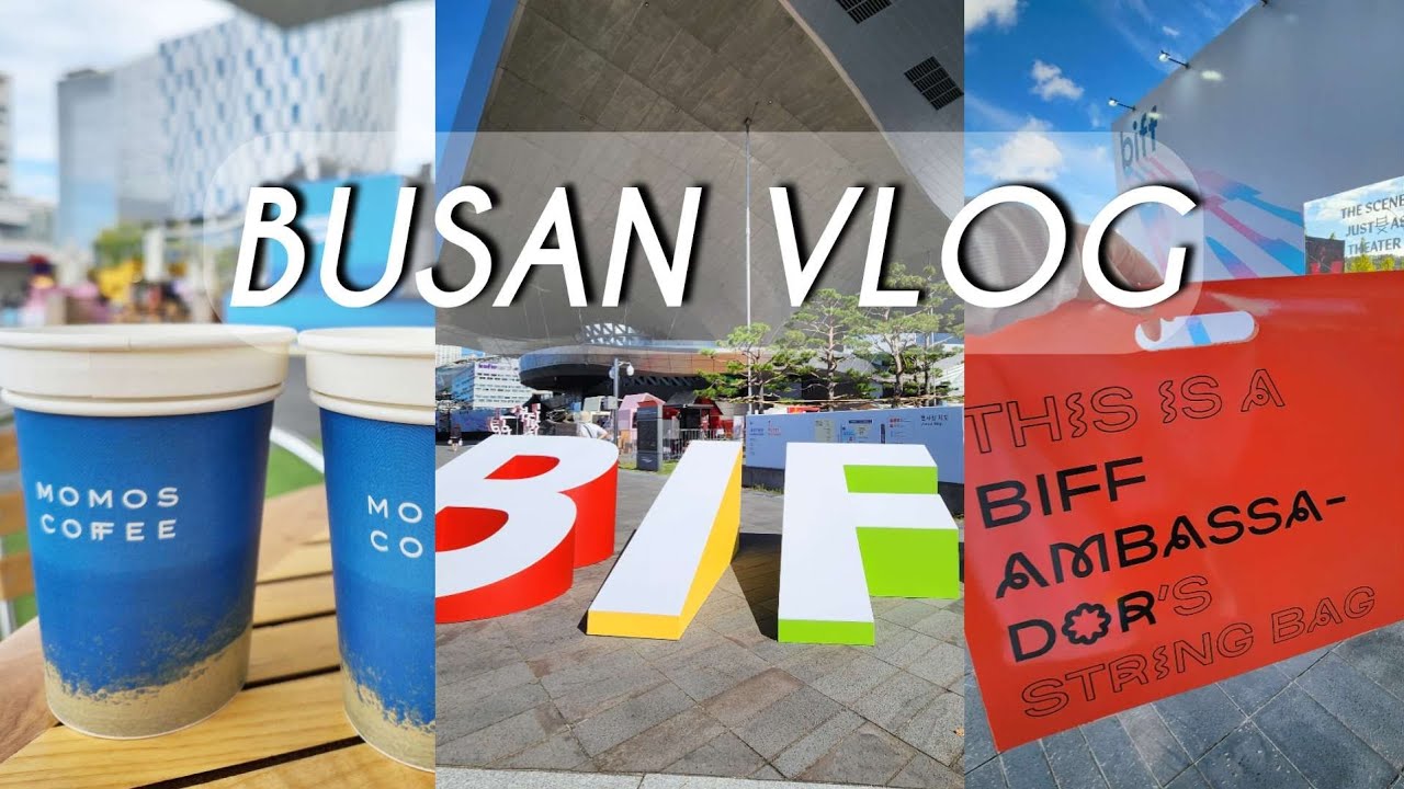 【釜山vlog】スターをたくさん見て映画をたくさん見た5泊6日 | BIFF2024 釜山国際映画祭 부산국제영화제 | 映画の殿堂 南浦洞 広安里 影島 池松壮亮 綾野剛 西島秀俊 チェジョンヒョプ