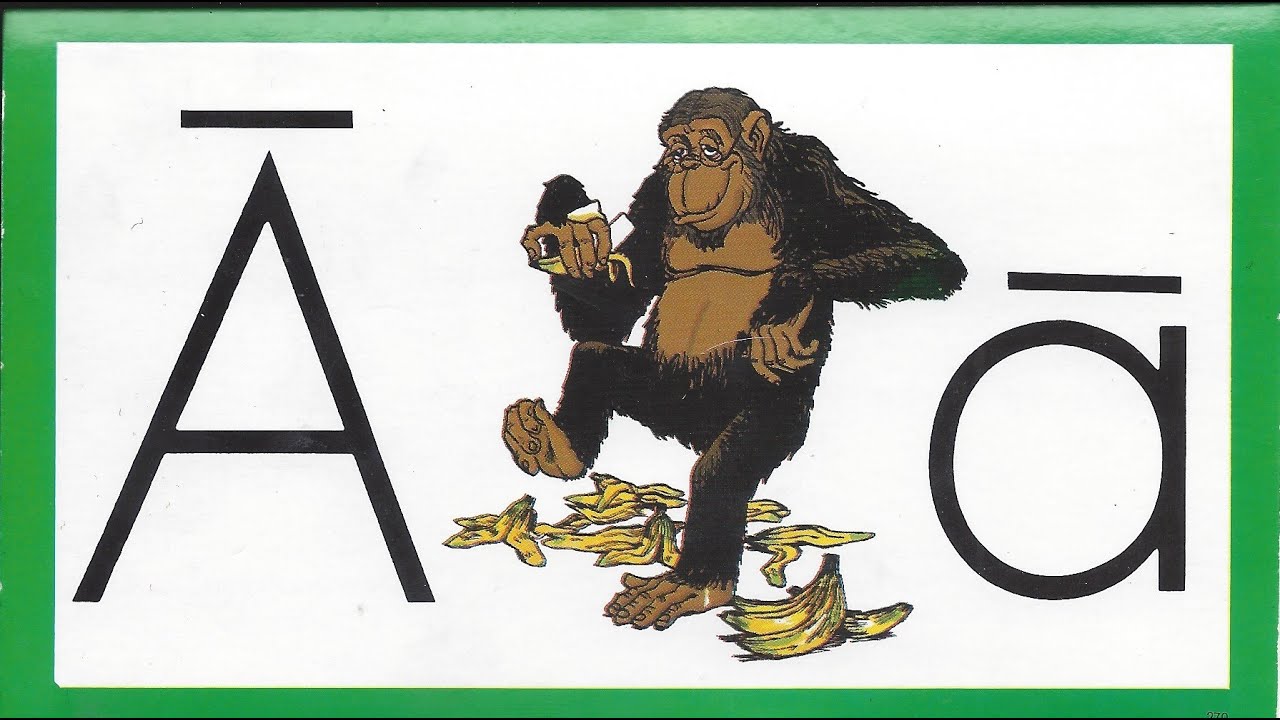 1001 01 Aging Ape - Learn to Read with Ace and Christi (A.C.E. Accelerated Christian Education)
