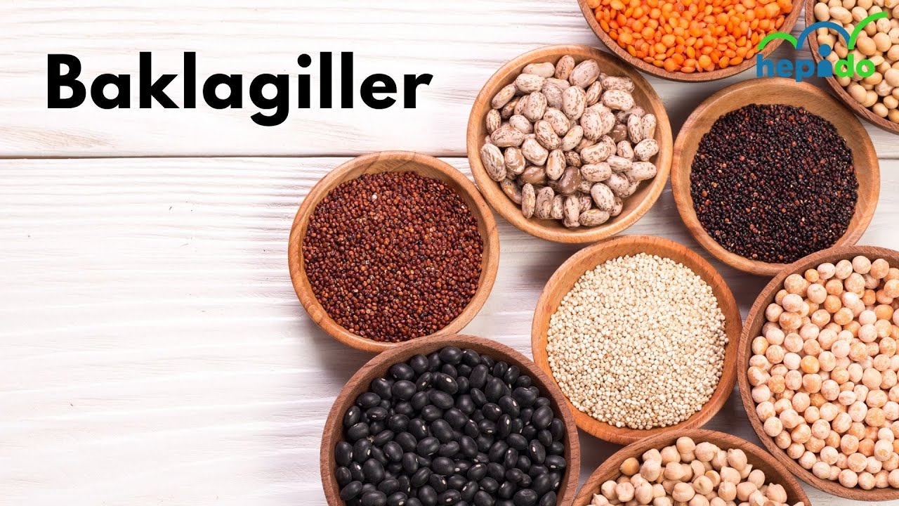 Besin Grupları - Baklagiller
