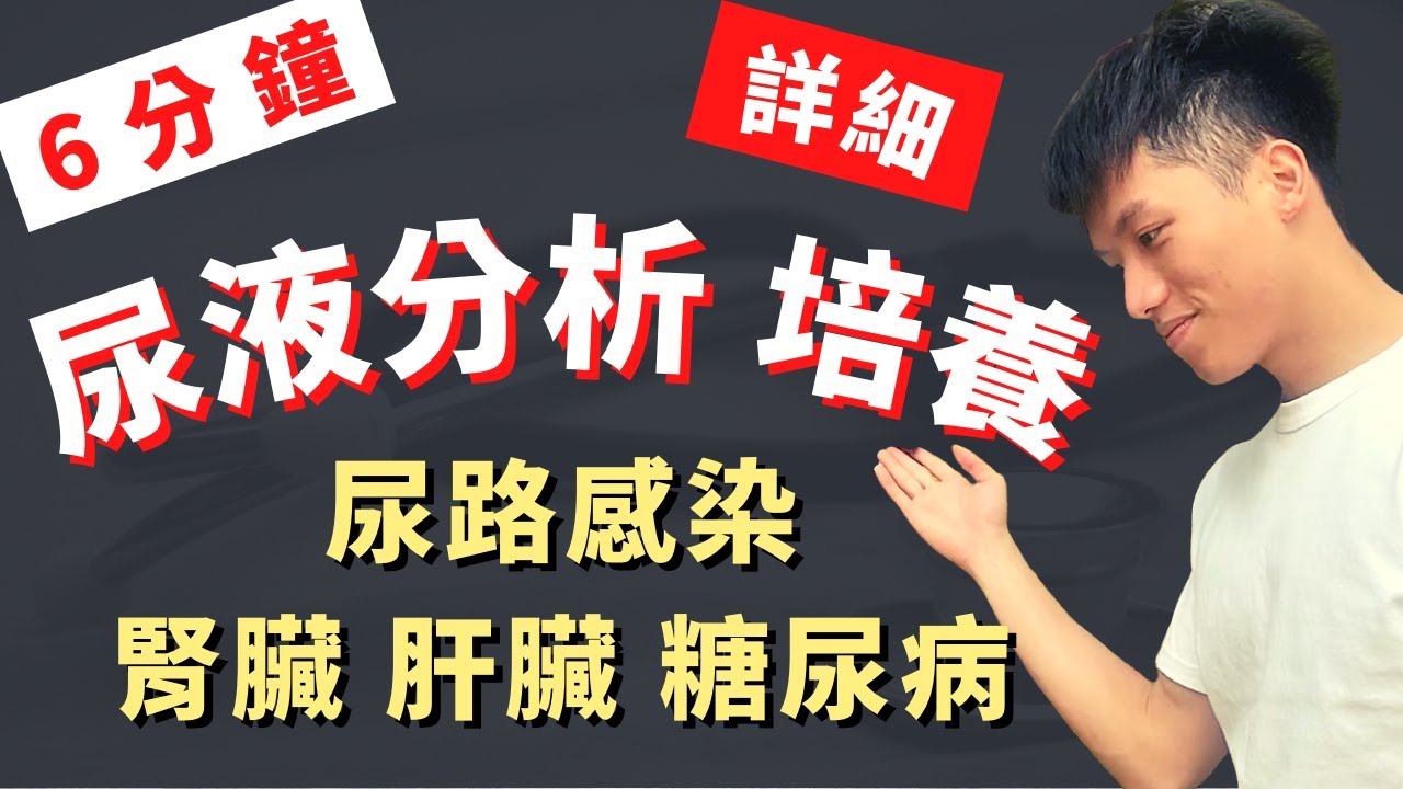 【簡單精通尿液分析及尿液培養】快速判讀U/A&U/C！ 超實用！醫學生臨床必備技能！真的是尿路感染嗎？善良的路障