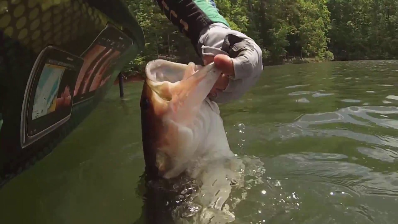 Catch Giant Bass on a Floating Worm !!!
