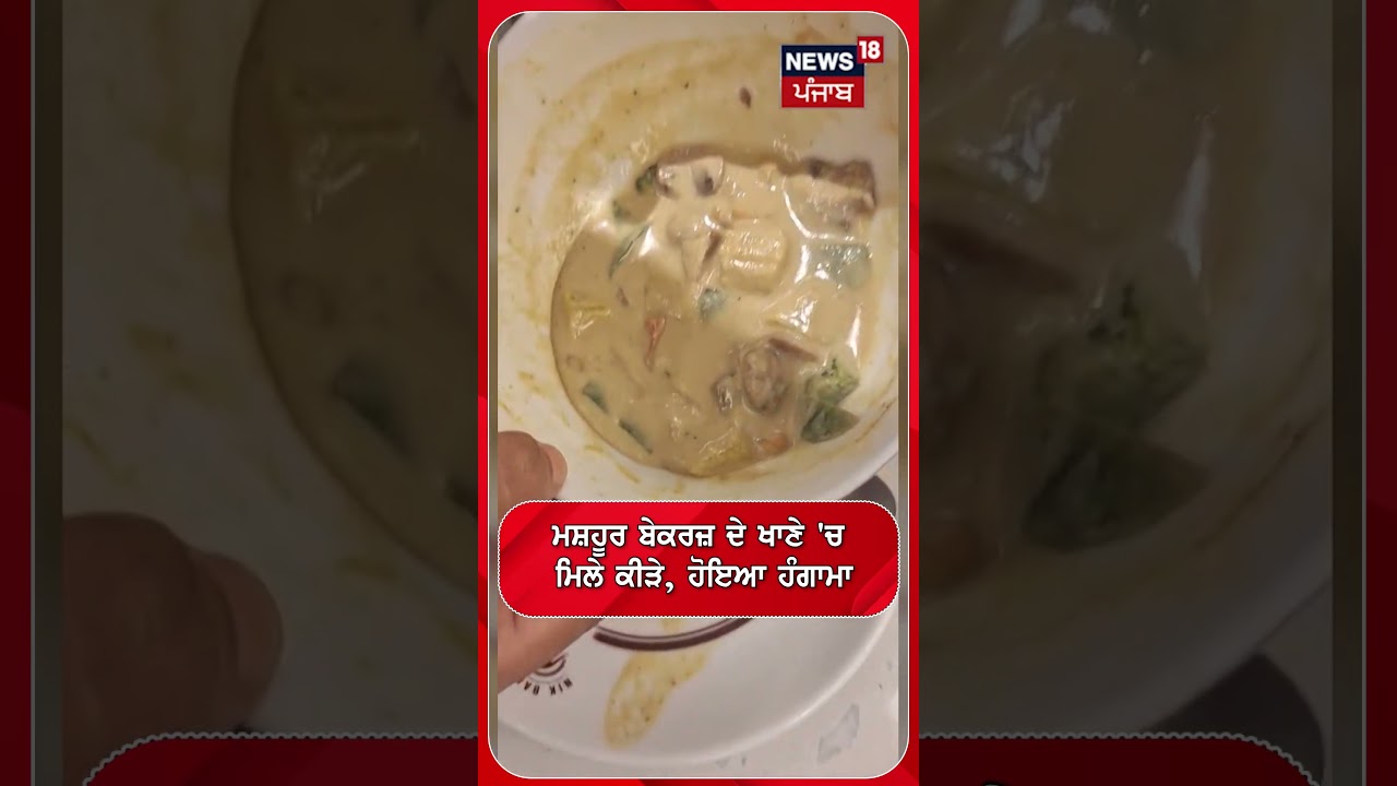 ਮਸ਼ਹੂਰ ਬੇਕਰਜ਼ ਦੇ ਖਾਣੇ 'ਚ ਮਿਲੇ ਕੀੜੇ, ਹੋਇਆ ਹੰਗਾਮਾ#shorts |N18S
