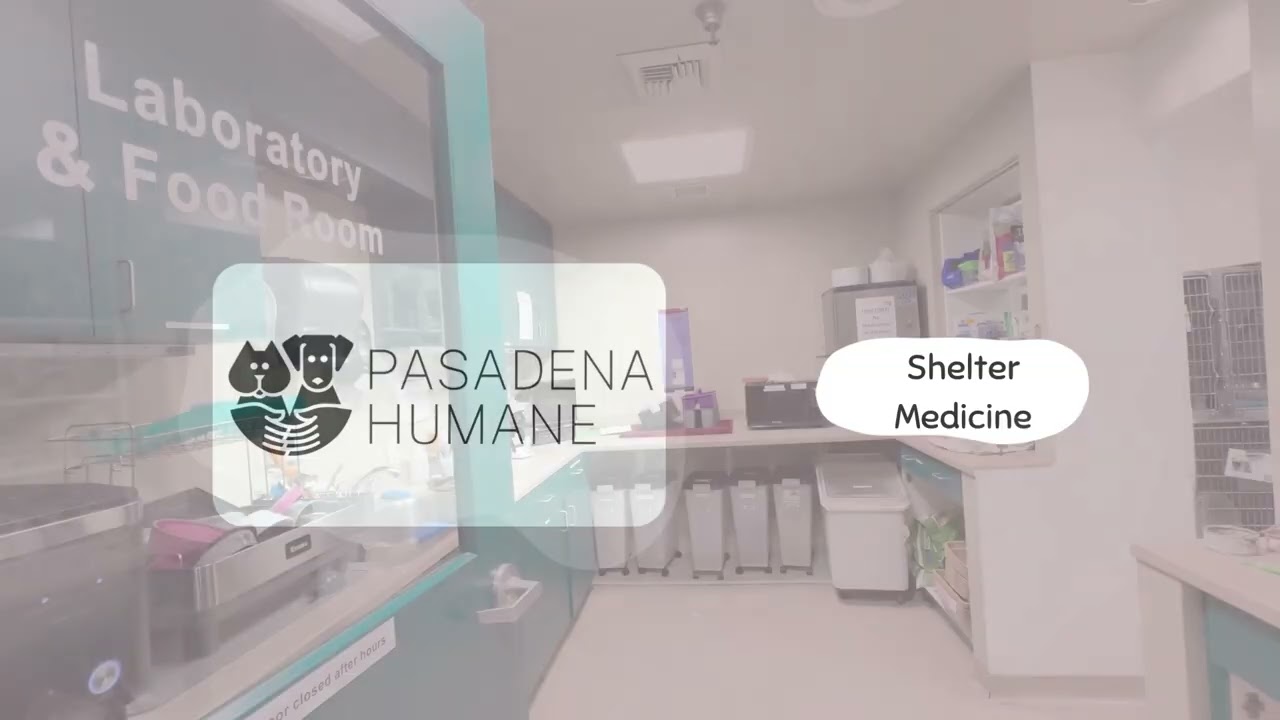 Medical, Euthanasia, and Spay/Neuter and Preventive Care Clinics at Pasadena Humane
