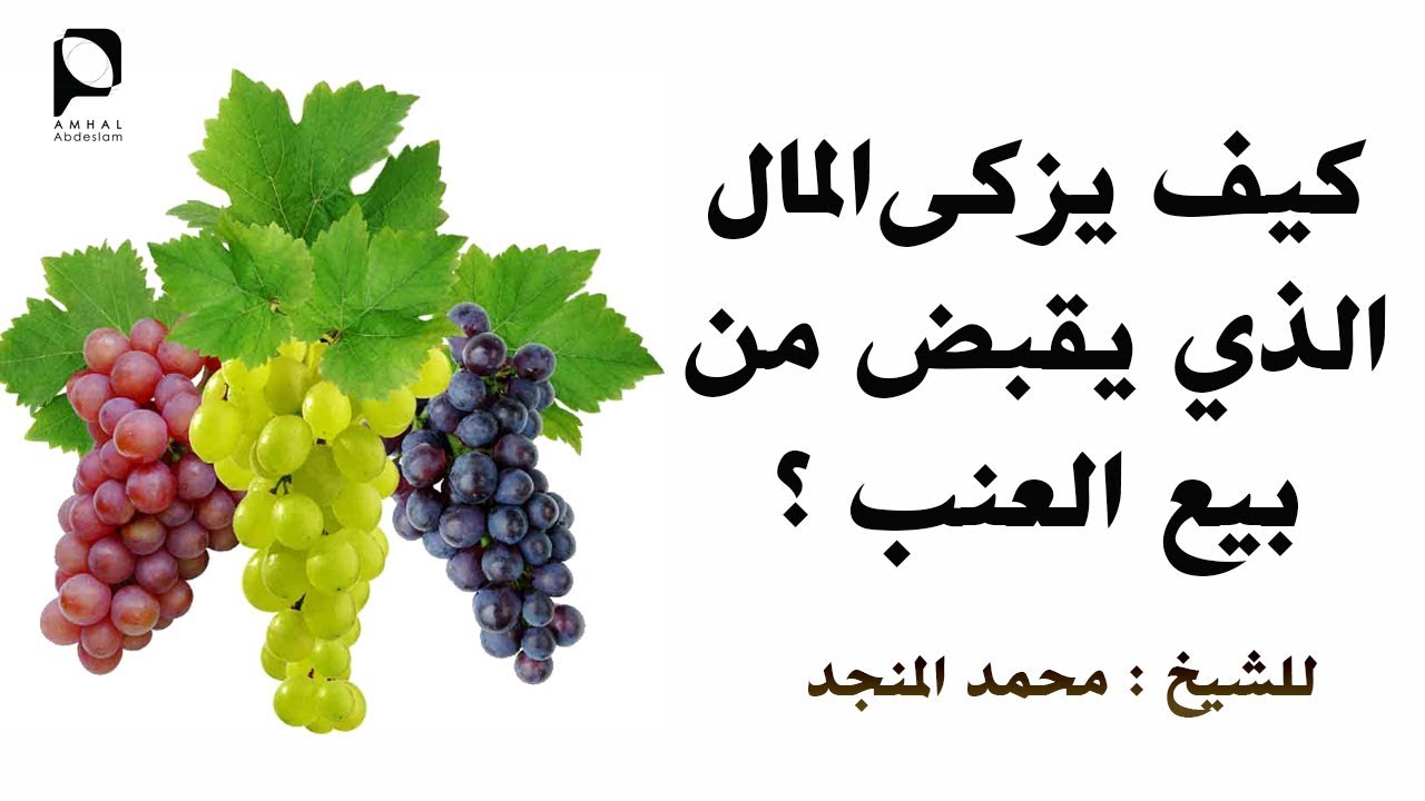 كيف يزكى المال الذي يقبض من بيع العنب ؟ // للشيخ : محمد المنجد