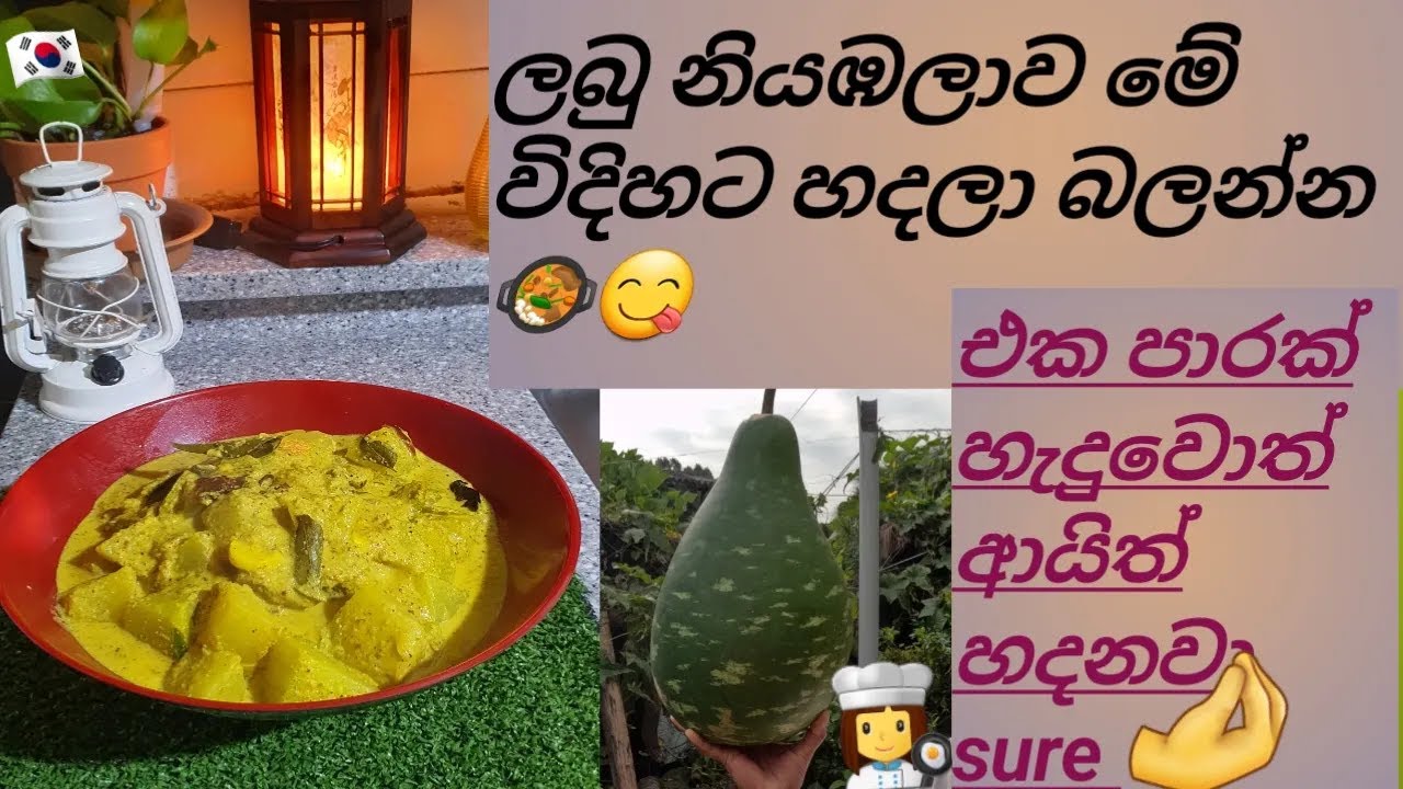 🌿🍐Healthy & Tasty: Low-fat sri lankan traditional Labu Curry (bottle gourd curry) 🍲🤌