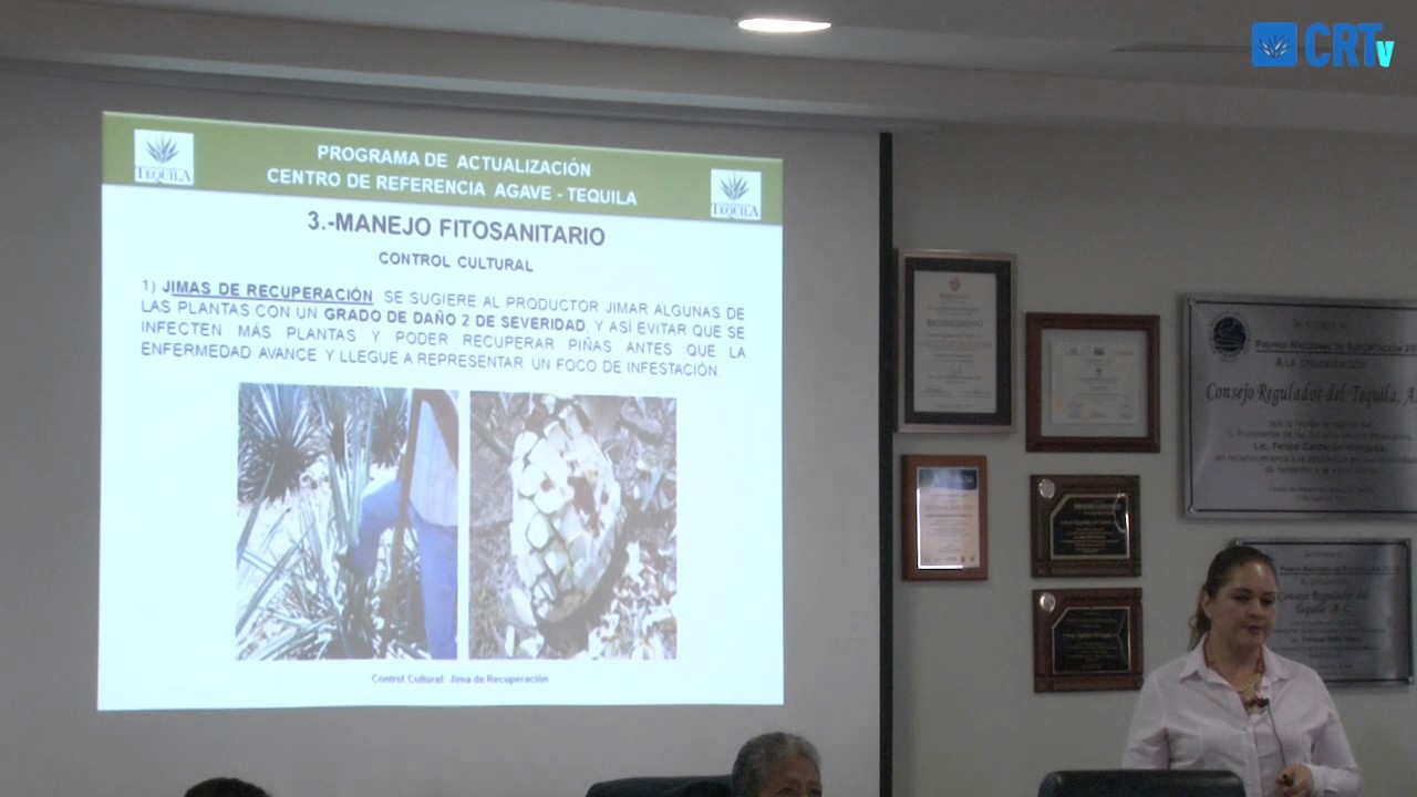 Manejo de las principales enfermedades del agave